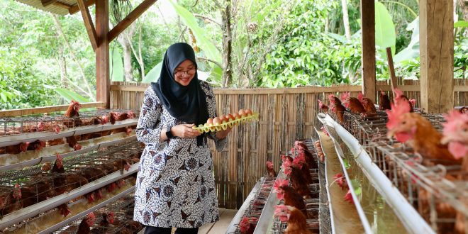 Ketahanan Pangan Desa Berbasis Gotong Royong di Banyuwangi Sukses Kelola Peternakan Sosial