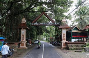 Diapresiasi PBB Desa Kemiren Buktikan Pariwisata Bisa Sejahterakan Semua Generasi