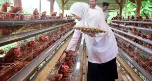 BUMDes Alasbuluh Integrasikan Usaha Ternak dengan Intervensi Gizi, Jadi Model Pengentasan Kemiskinan