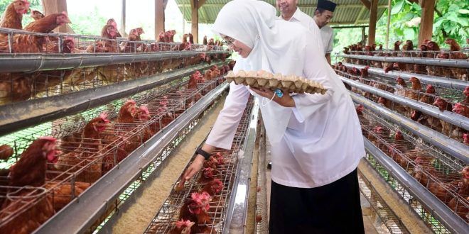BUMDes Alasbuluh Integrasikan Usaha Ternak dengan Intervensi Gizi, Jadi Model Pengentasan Kemiskinan