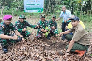 Mitigasi Bencana Hidrometeorologi, Perhutani KPH Banyuwangi Selatan Tanam Ratusan Bibit Pohon