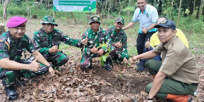 Mitigasi Bencana Hidrometeorologi, Perhutani KPH Banyuwangi Selatan Tanam Ratusan Bibit Pohon