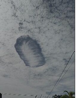 Langka! Awan Cavum Terlihat di Langit Jember, Prakirawan BMKG Bwi Ingatkan Masyarakat Tidak Mengkaitkan Hal Mistis