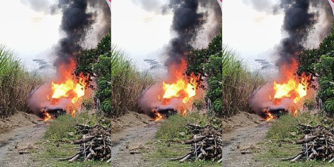 Kebakaran di Perkebunan Kalisepanjang, Desa Kaligondo, Kecamatan Glenmore sore ini. (Foto. Inayatus Sa'adah)