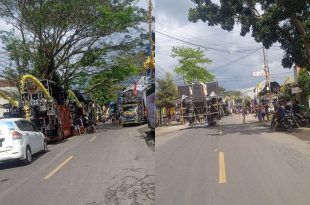 Kegiatan karnaval budaya yang berlangsung di Desa Kebaman, Kecamatan Srono yang berlangsung pagi hari ini. (Foto. Gita Andini)