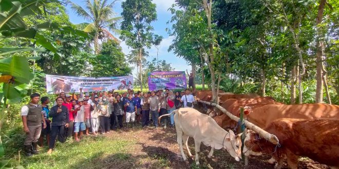 Pelayanan Kesehatan Hewan Terpadu di Dusun Sukodono, Desa Aliyan, Kecamatan Rogojampi. (Foto. drh Hamid)