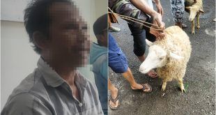 Pelaku terduga pencuri kambing milik tetangganya yang ada di Desa Banyuanyar, Kecamatan Kalibaru. (Foto. Istimewa)