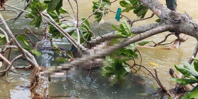 Warga Laporkan Penemuan Mayat di Muara Pantai Parang Ireng, Alas Purwo: Identitas Korban Belum Diketahui