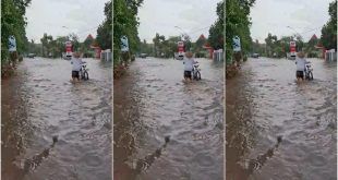 Hujan deras yang mengguyur wilayah Desa Glagahagung, Kecamatan Purwoharjo, pada Senin 28 Januari 2025 sore mengakibatkan banjir di sejumlah titik. (Foto. Firmansyah)