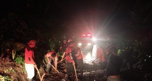 Pohon tumbang dan material longsor di jalur antara Desa Pakel dan Desa Kluncing, Kecamatan Licin. (Foto. Istimewa)