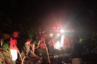 Pohon tumbang dan material longsor di jalur antara Desa Pakel dan Desa Kluncing, Kecamatan Licin. (Foto. Istimewa)