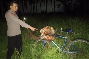 Sepeda milik korban berinisial M (63), ditemukan meninggal dunia di kebun kelapa Desa Kedayunan. (Foto. Istimewa)