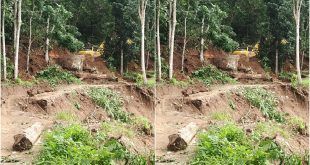 Upaya perbaikan jalan di Dusun Sukamade, Desa Sarongan, Kecamatan Pesanggaran yang tergerus air imbas hujan deras beberapa waktu terakhir. (Foto. Istimewa)