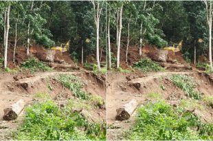 Upaya perbaikan jalan di Dusun Sukamade, Desa Sarongan, Kecamatan Pesanggaran yang tergerus air imbas hujan deras beberapa waktu terakhir. (Foto. Istimewa)