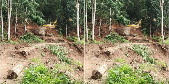 Upaya perbaikan jalan di Dusun Sukamade, Desa Sarongan, Kecamatan Pesanggaran yang tergerus air imbas hujan deras beberapa waktu terakhir. (Foto. Istimewa)