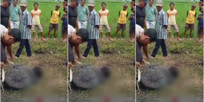 Seorang pencuri motor berinisial R(35) diamankan warga di area persawahan Dusun Grobyog, Desa Tanjungrejo, Kecamatan Wuluhan. (Foto. Istimewa)