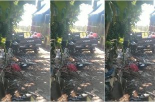 Aksi pembuangan sampah secara sembarangan kembali terjadi di Kecamatan Muncar, kali ini ada di Jalan Kali Momon, Desa Tembokrejo. (Foto. Warganet)