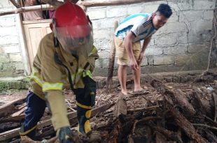 Petugas Dinas Pemadam Kebakaran dan Penyelamatan (Damkarmat) Banyuwangi melakukan penyelamatan ular yang baerada di pemukiman warga. (Foto. Humas Damkarmat For RBT)