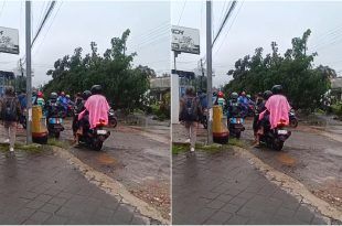 Laporan pohon tumbang yang terjadi di Jalan Raya Genteng, tepatnya di Dusun Jalen I, Desa Setail, sisi timur Hotel Mahkota Genteng. (Foto. Andri Idris For RBT)