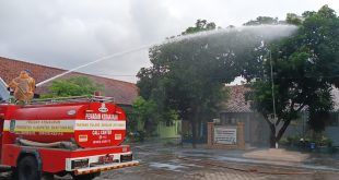 Petugas Dinas Pemadam Kebakaran dan Penyelamatan (Damkarmat) Banyuwangi melakukan penyemprotan pada pohon mangga yang menjadi sarang ulat bulu. (Foto. Humas Damkarmat)