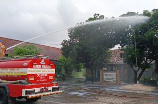 Petugas Dinas Pemadam Kebakaran dan Penyelamatan (Damkarmat) Banyuwangi melakukan penyemprotan pada pohon mangga yang menjadi sarang ulat bulu. (Foto. Humas Damkarmat)