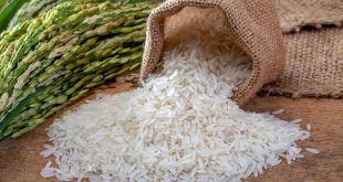 Bulog Banyuwangi Peringatkan: Waspadai Beras Tanpa Merek, Rawan Oplosan!
