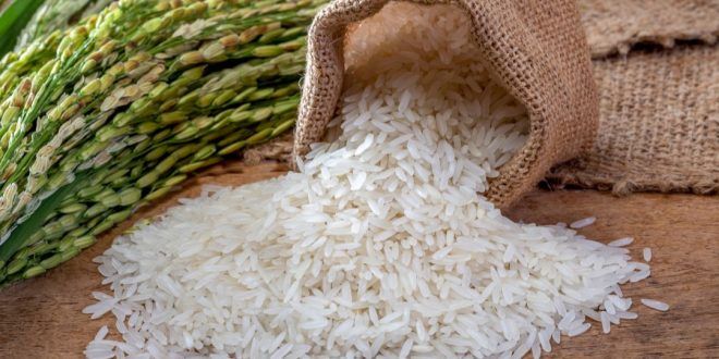 Bulog Banyuwangi Peringatkan: Waspadai Beras Tanpa Merek, Rawan Oplosan!