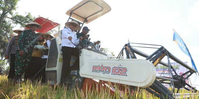 Dukung Swasembada Pangan Presiden, Pemkab dan Pupuk Kaltim Panen Demplot Padi di Banyuwangi