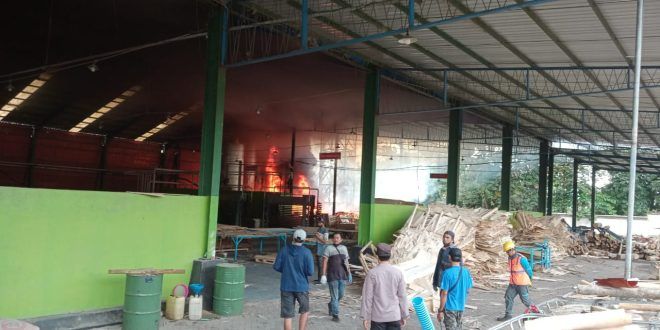 Kebakaran Pabrik Triplek Glenmore Kerugian Capai Rp300 Juta