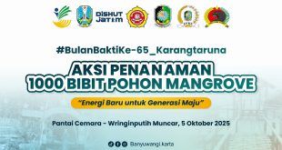 Kolaborasi Karang Taruna dan TNI, Seribu Mangrove untuk Pantai Cemara Banyuwangi