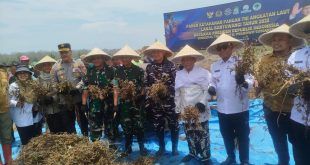 Sinergi TNI dan Pemda Banyuwangi Pacu Swasembada Kedelai Perkenalkan Varietas Unggulan Baru