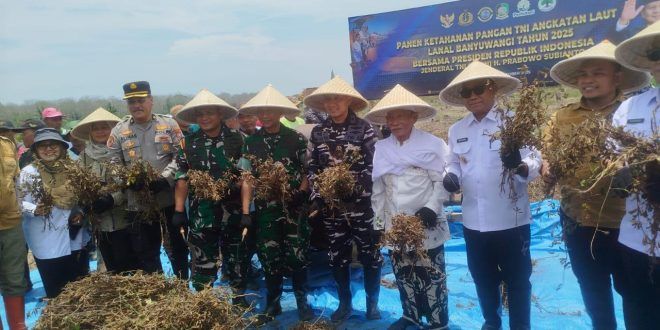 Sinergi TNI dan Pemda Banyuwangi Pacu Swasembada Kedelai Perkenalkan Varietas Unggulan Baru
