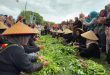Angkat Potensi Penataban, Banyuwangi Gelar ‘Unting-Unting’ Kangkung