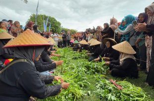 Angkat Potensi Penataban, Banyuwangi Gelar ‘Unting-Unting’ Kangkung