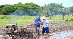 Beri Contoh Teladan Kalapas Banyuwangi Terjun Langsung Dalam Pembajakan Sawah di Lahan SAE