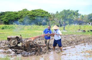 Beri Contoh Teladan Kalapas Banyuwangi Terjun Langsung Dalam Pembajakan Sawah di Lahan SAE