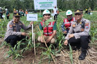 Perum Perhutani Gelar Penanaman Bersama di Petak 76 KPH Banyuwangi Selatan