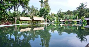 Dari Lahan Tidur Menuju Destinasi Unggulan: Banyu Kuwung Bukti Kekuatan Gotong Royong Desa