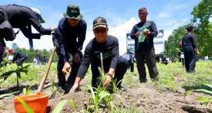 Hijaukan Kembali 489 Hektar Perhutani dan Forkopimda Banyuwangi Galakkan Reforestasi Massal