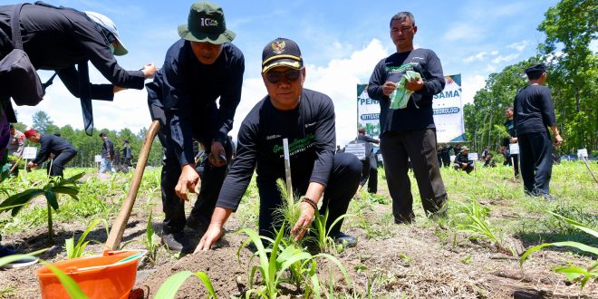 Hijaukan Kembali 489 Hektar Perhutani dan Forkopimda Banyuwangi Galakkan Reforestasi Massal
