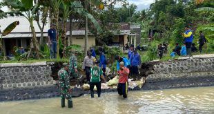 Kerja Bakti Multi Pihak Perbaiki Tanggul Kanal Jebol di Kecamatan Sempu